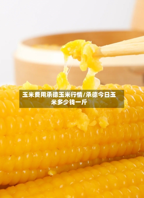 玉米费用承德玉米行情/承德今日玉米多少钱一斤