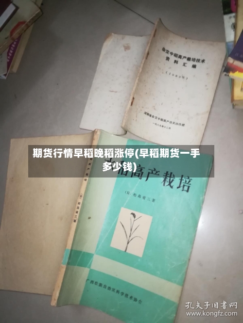 期货行情早稻晚稻涨停(早稻期货一手多少钱)-第1张图片