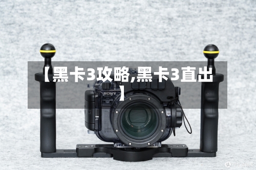 【黑卡3攻略,黑卡3直出】-第1张图片