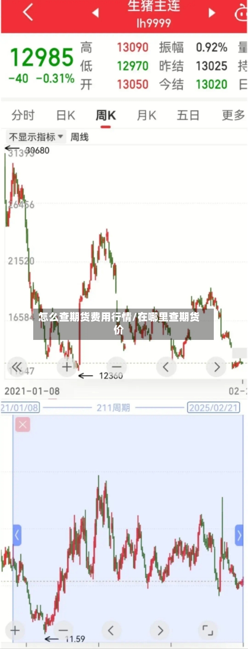 怎么查期货费用行情/在哪里查期货价-第1张图片