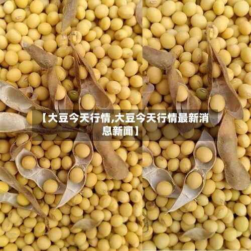 【大豆今天行情,大豆今天行情最新消息新闻】-第1张图片