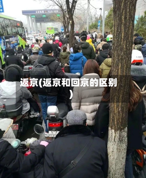 返京(返京和回京的区别)