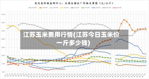 江苏玉米费用行情(江苏今日玉米价一斤多少钱)-第1张图片
