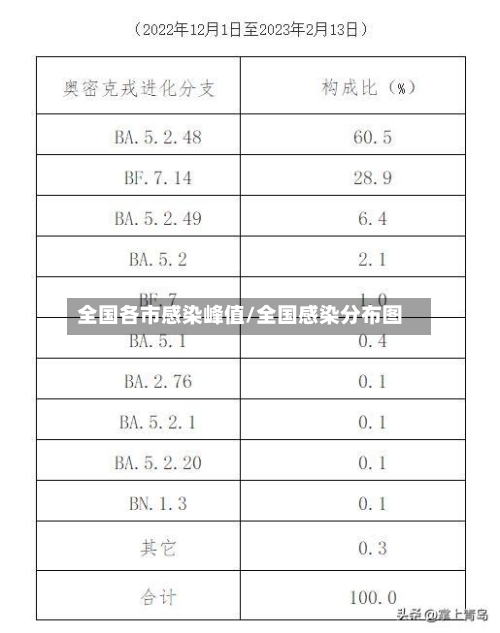全国各市感染峰值/全国感染分布图