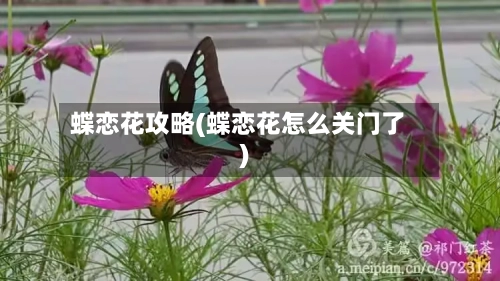 蝶恋花攻略(蝶恋花怎么关门了)-第1张图片