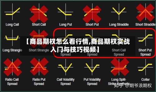 【商品期权怎么看行情,商品期权实战入门与技巧视频】