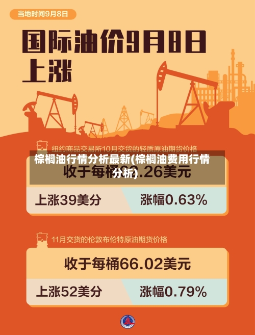 棕榈油行情分析最新(棕榈油费用行情分析)-第1张图片