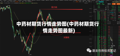 中药材期货行情走势图(中药材期货行情走势图最新)