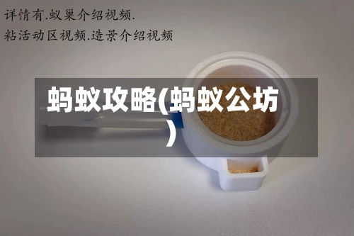 蚂蚁攻略(蚂蚁公坊)
