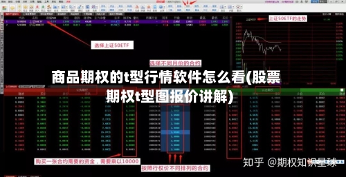 商品期权的t型行情软件怎么看(股票期权t型图报价讲解)