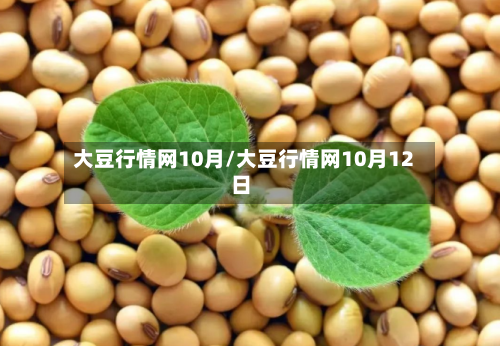大豆行情网10月/大豆行情网10月12日-第1张图片