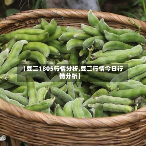 【豆二1805行情分析,豆二行情今日行情分析】-第1张图片
