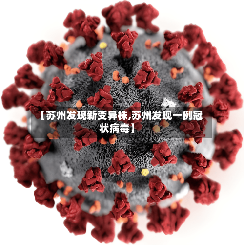 【苏州发现新变异株,苏州发现一例冠状病毒】