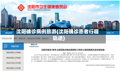 沈阳确诊病例旅游(沈阳确诊患者行程轨迹)-第2张图片