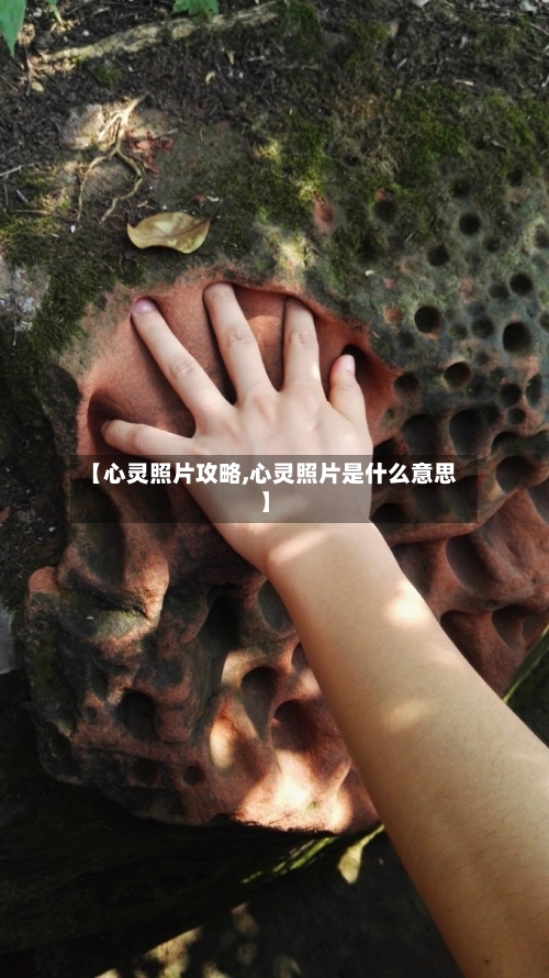 【心灵照片攻略,心灵照片是什么意思】-第2张图片