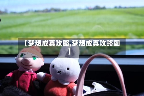 【梦想成真攻略,梦想成真攻略图】-第2张图片