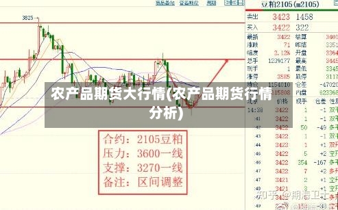 农产品期货大行情(农产品期货行情分析)-第3张图片