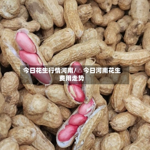 今日花生行情河南/△今日河南花生费用走势