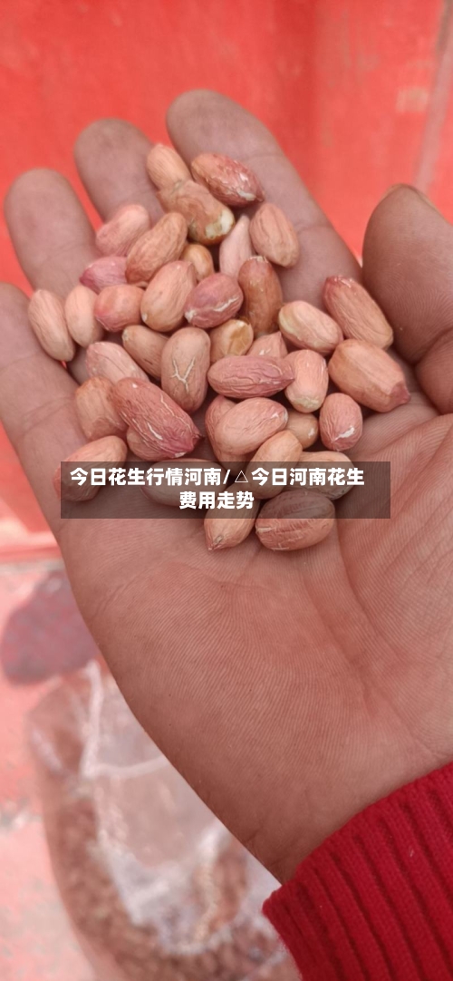 今日花生行情河南/△今日河南花生费用走势-第3张图片