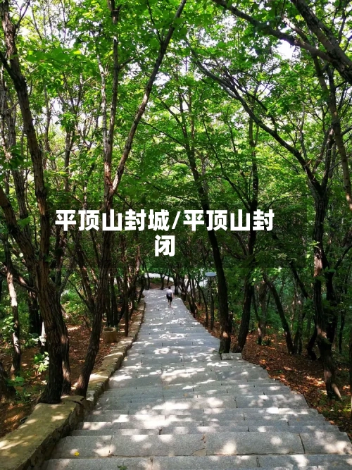 平顶山封城/平顶山封闭-第2张图片