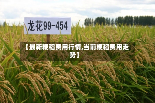 【最新粳稻费用行情,当前粳稻费用走势】