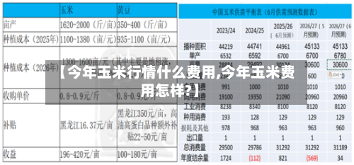 【今年玉米行情什么费用,今年玉米费用怎样?】-第2张图片