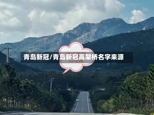 青岛新冠/青岛新冠高架桥名字来源-第2张图片