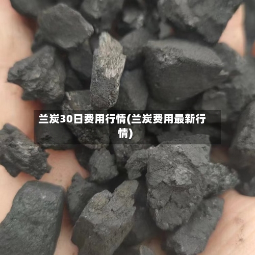 兰炭30日费用行情(兰炭费用最新行情)-第2张图片