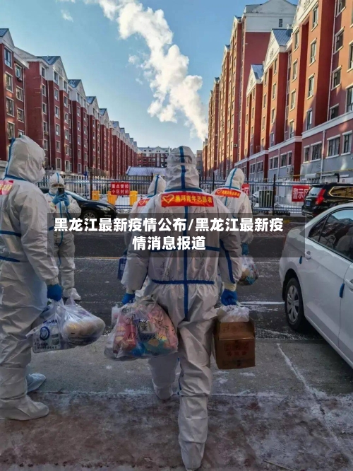 黑龙江最新疫情公布/黑龙江最新疫情消息报道-第2张图片
