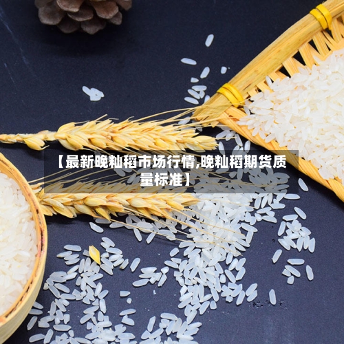 【最新晚籼稻市场行情,晚籼稻期货质量标准】