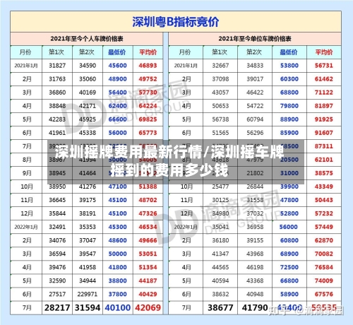 深圳摇牌费用最新行情/深圳摇车牌摇到的费用多少钱-第3张图片