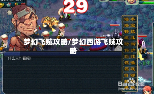 梦幻飞贼攻略/梦幻西游飞贼攻略-第3张图片