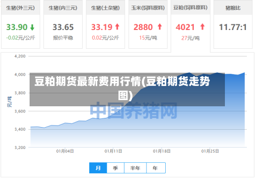 豆粕期货最新费用行情(豆粕期货走势图)-第3张图片