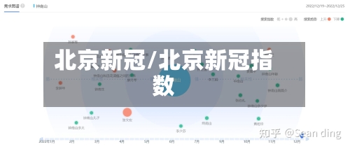 北京新冠/北京新冠指数
