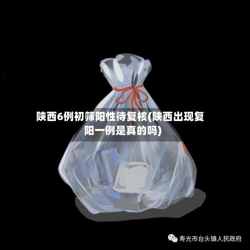 陕西6例初筛阳性待复核(陕西出现复阳一例是真的吗)-第3张图片