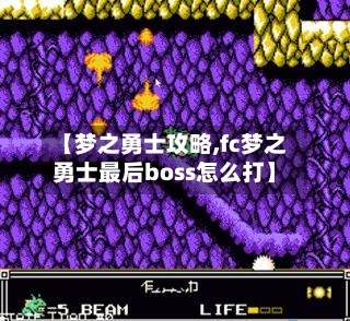 【梦之勇士攻略,fc梦之勇士最后boss怎么打】