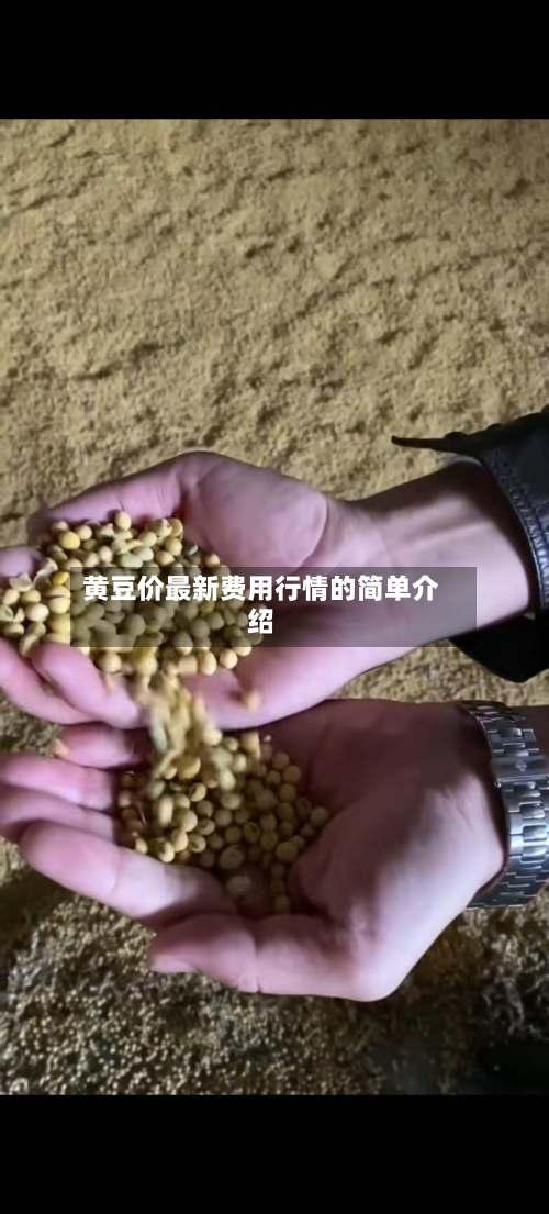 黄豆价最新费用行情的简单介绍-第3张图片