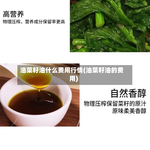 油菜籽油什么费用行情(油菜籽油的费用)