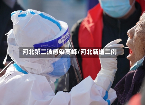 河北第二波感染高峰/河北新增二例