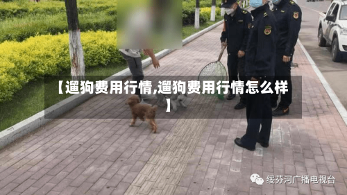 【遛狗费用行情,遛狗费用行情怎么样】