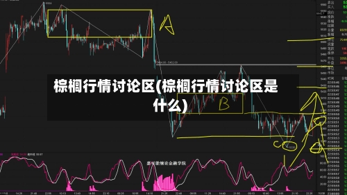 棕榈行情讨论区(棕榈行情讨论区是什么)