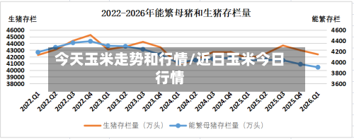 今天玉米走势和行情/近日玉米今日行情-第2张图片