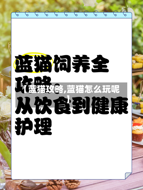 【蓝猫攻略,蓝猫怎么玩呢】-第2张图片