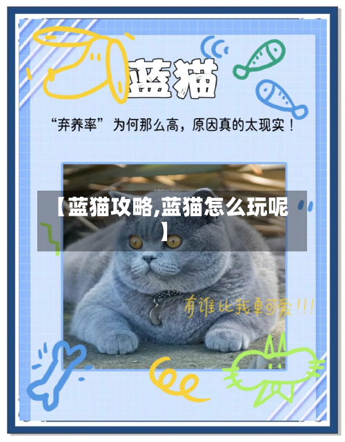 【蓝猫攻略,蓝猫怎么玩呢】-第3张图片