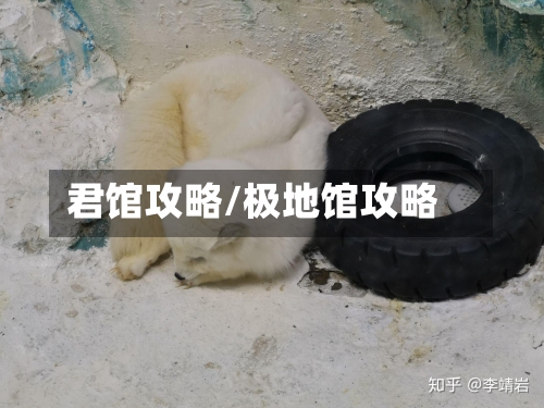君馆攻略/极地馆攻略-第1张图片
