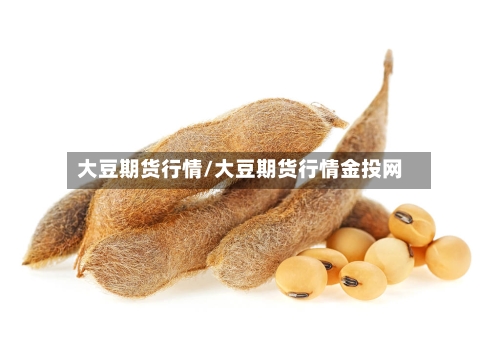 大豆期货行情/大豆期货行情金投网-第1张图片