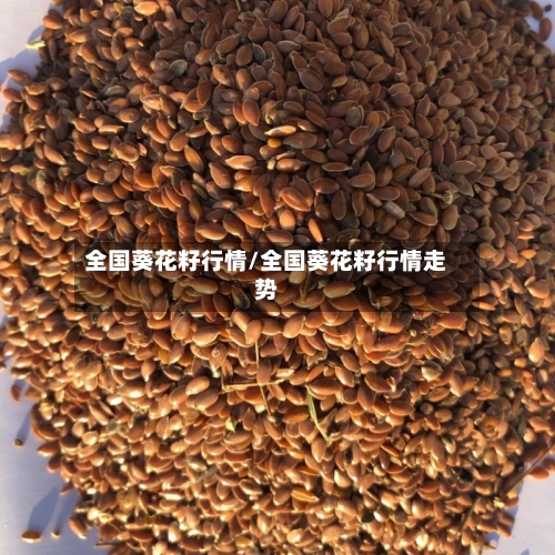 全国葵花籽行情/全国葵花籽行情走势