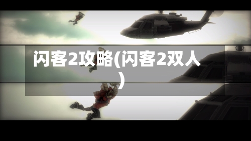 闪客2攻略(闪客2双人)-第2张图片