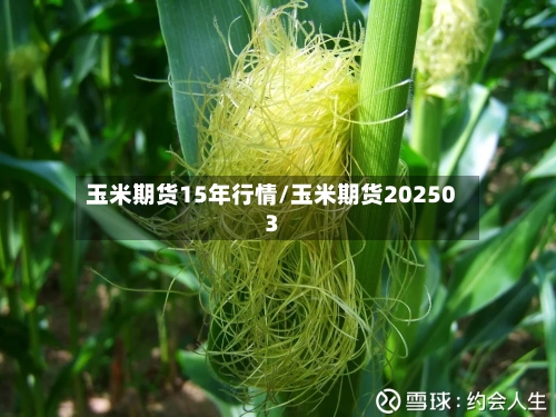 玉米期货15年行情/玉米期货202503