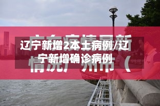 辽宁新增2本土病例/辽宁新增确诊病例